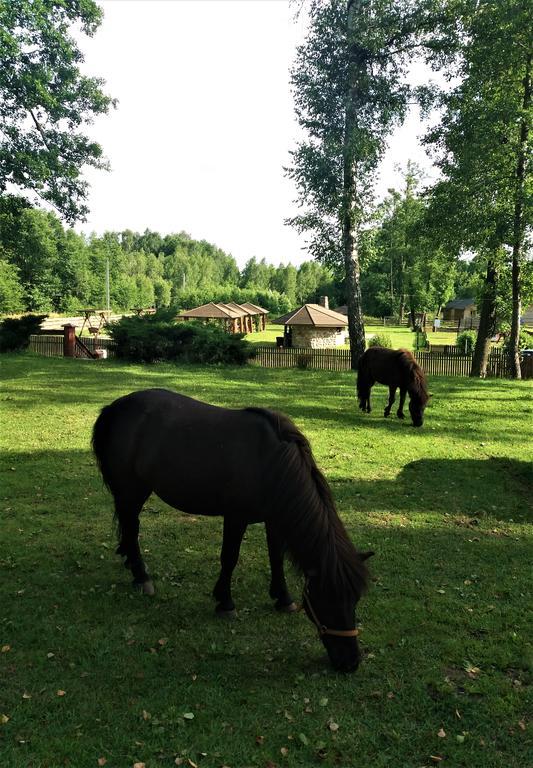 Mazowieckie Siolo Julianowka Eksteriør bilde